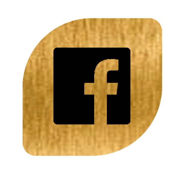 logo facebook biennal