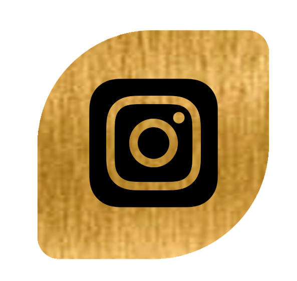 logo instagram biennal