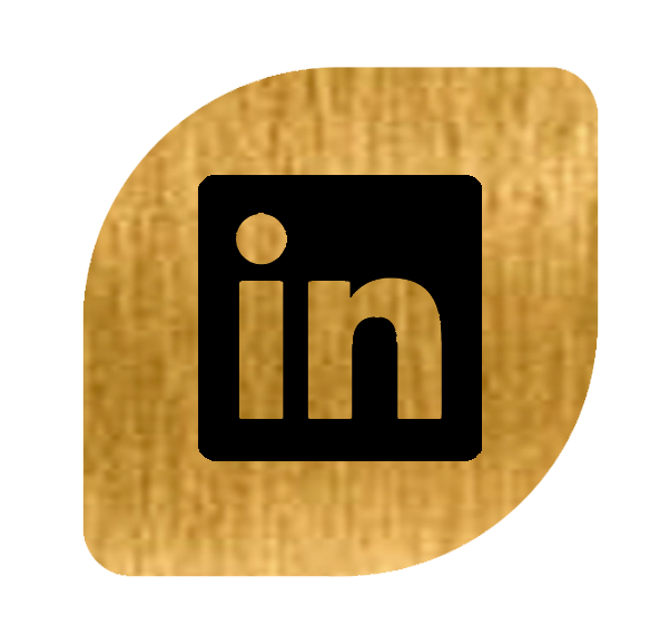 logo linkedin biennal