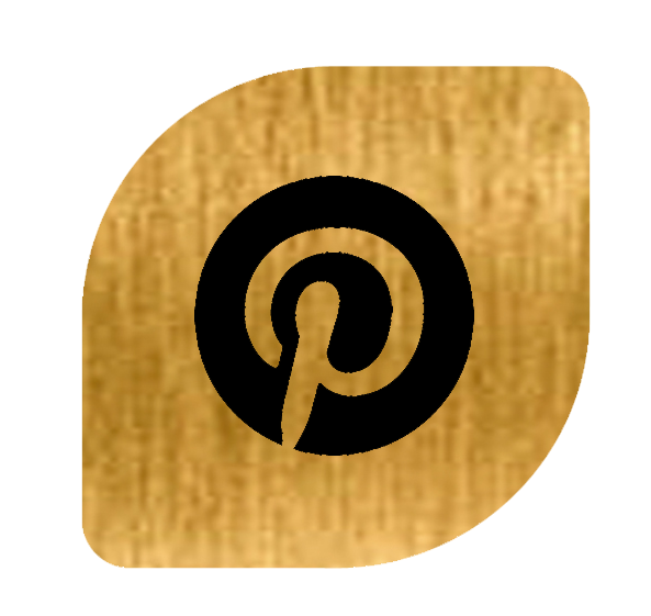 logo pinterest biennal