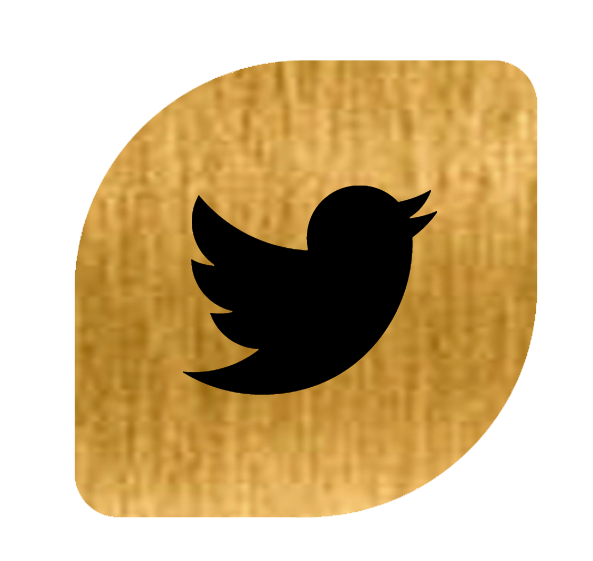 logo twitter biennal